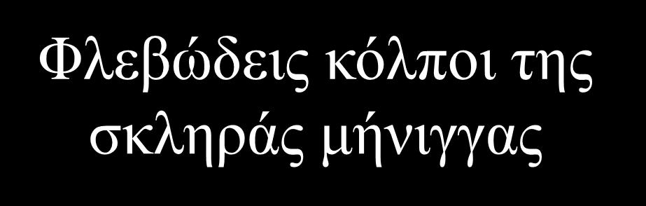 Φλεβώδεις κόλποι της σκληράς μήνιγγας Ο σηρραγγώδης κόλπος εντοπίζεται στη βάση του δρεπάνου Ο ευθύς κόλπος, επί τα δεξιά της μέσης γραμμής, φέρει σε επικοινωνία τις εν τω