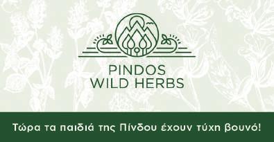 Το εργοστάσιο της Apivita, στο Βιομηχανικό Πάρκο Μαρκοπούλου, αποτελεί ένα υπόδειγμα πράσινης επιχειρηματικότητας (χαμηλό οικολογικό αποτύπωμα, φωτοβολταϊκό σύστημα, βιολογικό καθαρισμό αποβλήτων,