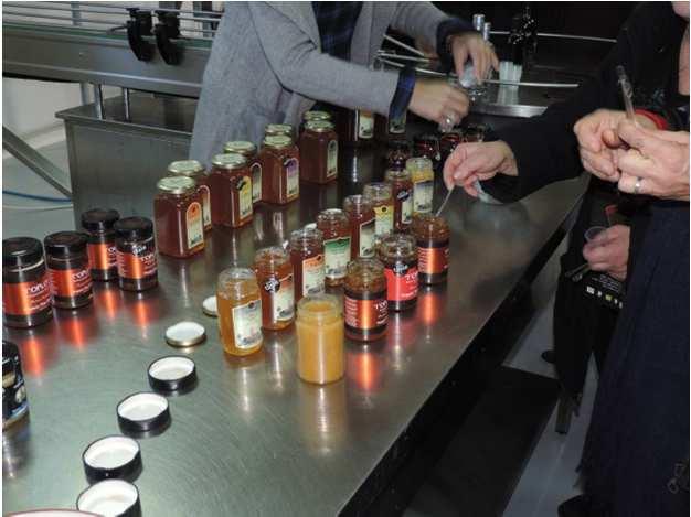 Με τον τρόπο αυτό τα στοιχεία της γεωλογικής κληρονομιάς συνδέονται με την οικονομική ανάπτυξη της περιοχής, η οποία θεωρείται