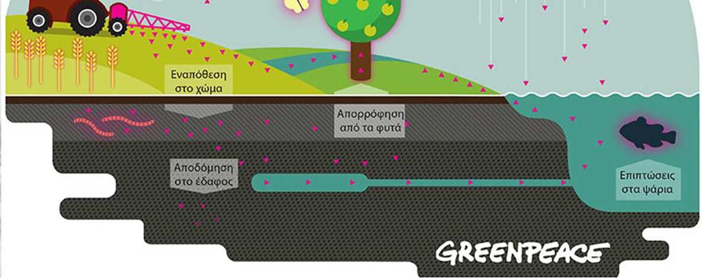 Η μείωση της βιοποικιλότητας των αγροοικοσυστημάτωντης Ευρώπης οφείλεται, κατά κύριο λόγο, στην εντατικοποίηση της γεωργίαςαπό την εφαρμογή της Κοινής Αγροτικής Πολιτικής στις χώρες της Ε.