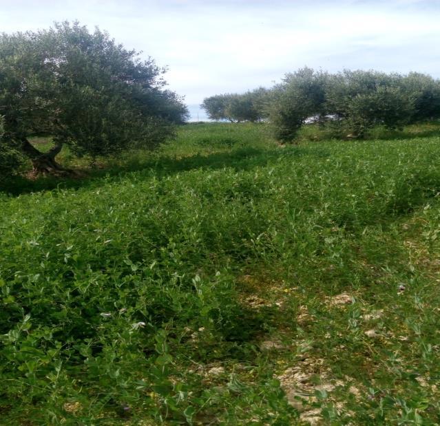 λίπανση είναι τα εξής: Ήµερο
