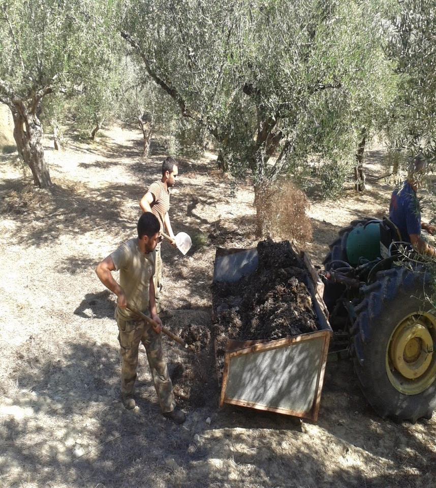 Εδαφοβελτιωτικά από απόβλητα ελαιουργείας Βελτίωση εδάφους Διασπορά