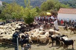 γειτονική Λήμνο Αλιεία με πρώτης ποιότητας