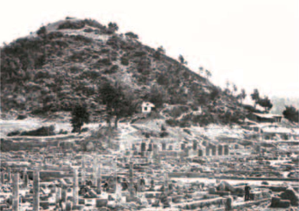 Σχήμα 4. Μία από τις πρώτες φωτογραφίες της πενιχρής βλάστησης στη νότια πλαγιά του Κρόνιου κατά τις ανασκαφές (E. Gurtius, 18