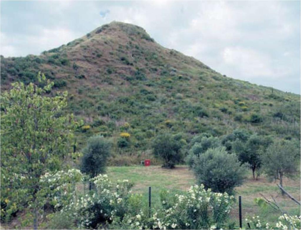 Σχήμα 37. Μέρος της ανατολικής πλευράς του Κρόνιου λόφου μετά την αποκατάσταση και την ανάπτυξη της φυσικής αναγέννησης (10-5-2010).