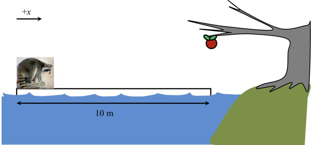 Άσκηση 6 [10µ] Ένα κάστορας στέκεται στην άκρη ενός κορµού δέντρου µήκους 10m. Ο κορµός επιπλέει στα νερά ενός ποταµού.