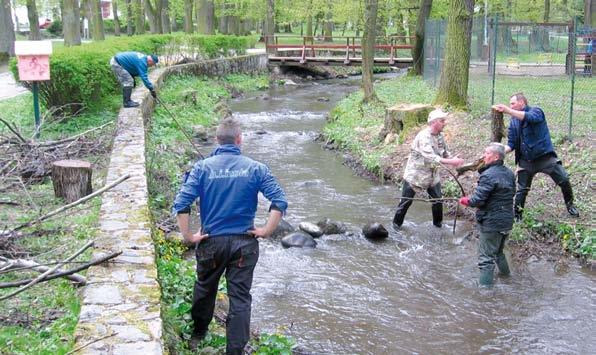 5/2016 SPRÁVY Rybári vyčistili Žarnovicu v parku Gymnazisti sa snažili skrášliť si svoje okolie vyzbieraním odpadkov, kameňov, dreva a vyhrabaním suchej trávy.