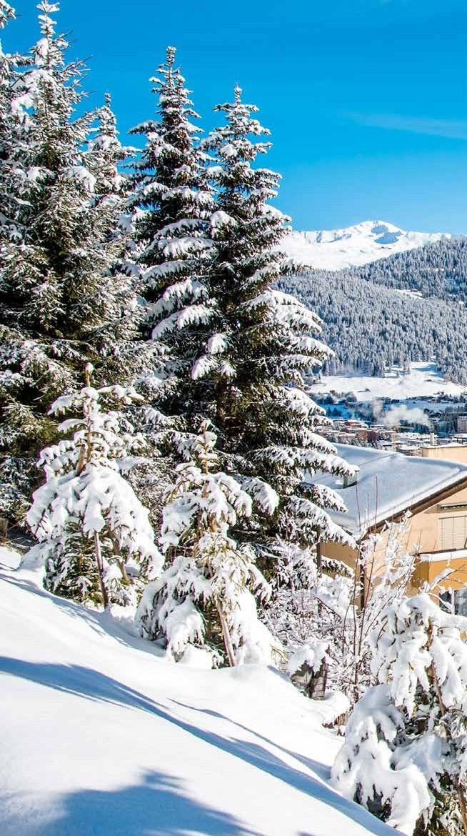 Από 16 Δεκεμβρίου ξεκινάμε καθημερινές οργανωμένες εκδρομές για το χιονοδρομικό κέντρο του Bansko για όλη την περίοδο των Χριστουγέννων.