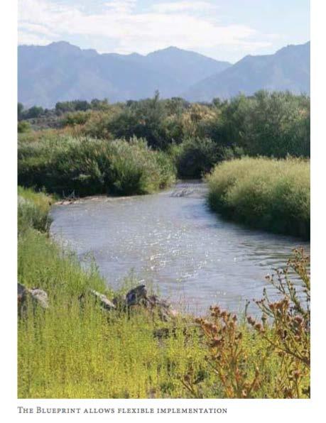 Εικόνα 45: Αποψη του Ιορδάνη Πηγή: Blueprint Jordan River manual, 2007 Κατευθυντήρια αρχή 1 Διατήρηση και αποκατάσταση των φυσικών χαρακτηριστικών του ποταμού και των λειτουργιών του, στο μέγιστο