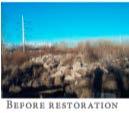 Εικόνα 46-49: Εξελικτική πορεία της αποκατάστασης Πηγή: Blueprint Jordan River manual, 2007 1.