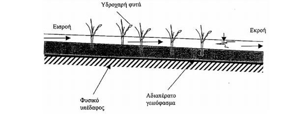 Σχήμα 6: Διαγραμματική απεικόνιση ροής λυμάτων τεχνητού υγρότοπου επιφανειακής ροής Πηγή: Μάρκου, 2000 από Διαδίκτυο Διεργασίες απομάκρυνσης ρύπων στους τεχνητούς υγρότοπους επιφανειακής ροής Η