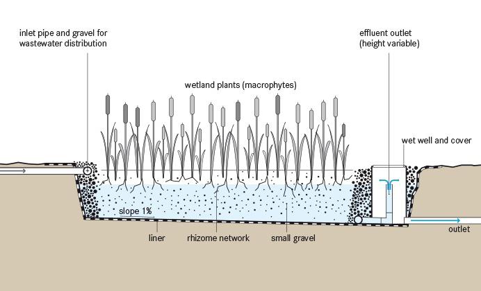 Σχήμα 7: Διαγραμματική απεικόνιση ροής λυμάτων σε τεχνητό υγρότοπο υποεπιφανειακής οριζόντιας ροής Πηγή: Vymazal J.