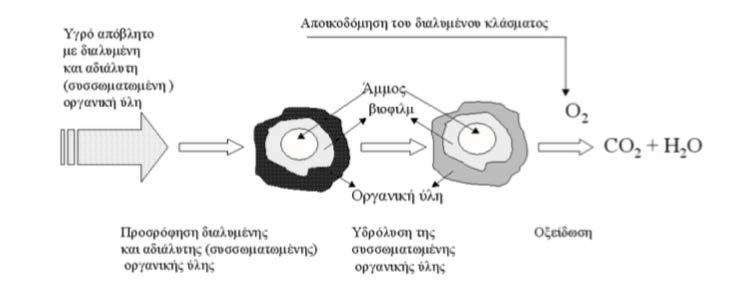 κών ενώσεων. Έτσι το BOD5, το COD ή ο TOC στην έξοδο των συστημάτων δεν προσδιορίζει ή δεν μετρά τις ίδιες οργανικές ουσίες, που υπάρχουν κατά την είσοδο (Kaldec et al., 2000).