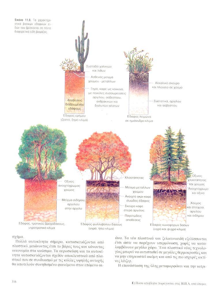 Εδάφη διαφόρων κλιματικών περιοχών και διαπλάσεων Εδαφοτομές των κύριων τύπων εδαφών
