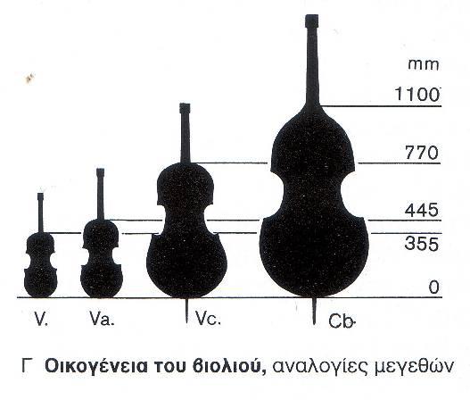 Σχήμα - μέγεθος - κατασκευή Η βιόλα έχει το ίδιο σχήμα όπως το βιολί αλλά είναι λίγο μεγαλύτερη απ αυτό.( Μήκος ηχείου 39-44,5 εκατ. συνολικό μήκος 68-70 εκατ.