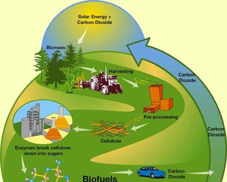 Τεχνολογία Καυσίμων Βιοκαύσιμα Το βιοκαύσιμο μπορεί να οριστεί ευρέως ως στερεό, υγρό ή αέριο καύσιμο που αποτελείται ή προέρχεται από βιομάζα η οποία επίσης να χρησιμοποιηθεί άμεσα