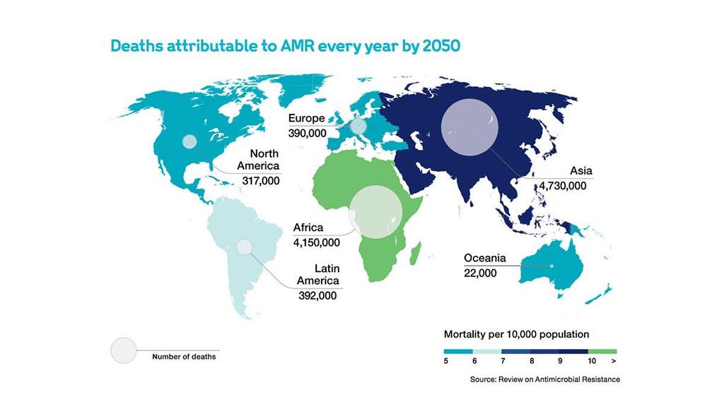 Sustaining global action on antimicrobial resistance