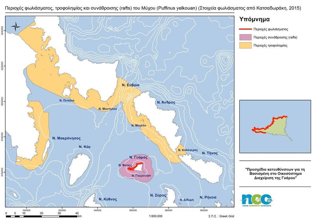 Χάρτης 6. Εκτιμώμενες περιοχές φωλιάσματος, τροφοληψίας και συνάθροισης (rafts) για τον Μύχο (Ενσωμάτωση στοιχείων από Κατσαδωράκης, 2015 και από πρόσφατες καταγραφές του προγράμματος) 4.3.
