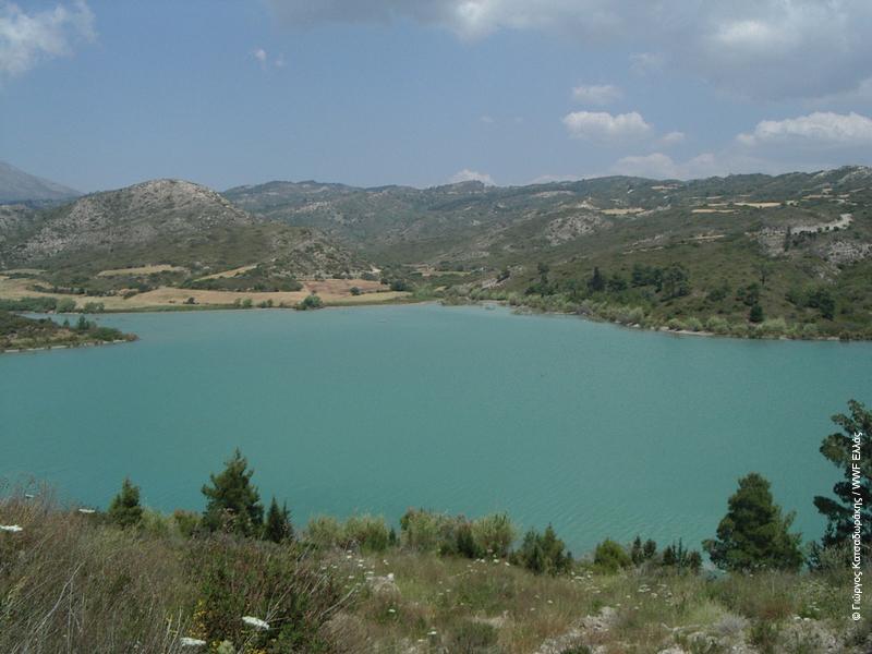 Παπακωνσταντίνου, Κ., Δ. Πορτόλου, και Σ. Μπουρδάκης. 2002. Τα πουλιά στη Ρόδο και τα Δωδεκάνησα. Σελίδες 69 80 Στο Masseti, M. (επ.) Το νησί των ελαφιών.