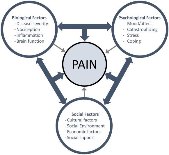 Βιο-ψυχο-κοινωνικό μοντέλο πόνου Ο πόνος είναι ένα πολυδιάστατο φαινόμενο αισθητηριακές