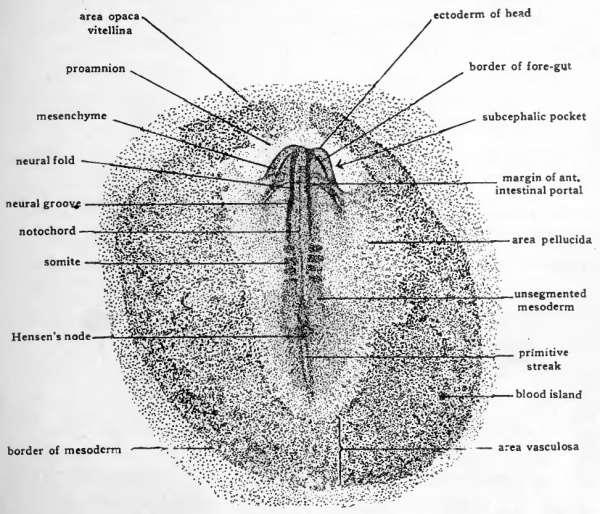 The Structure of Twenty-four Hour