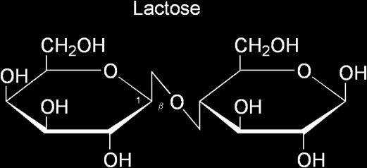 Laktóza (Lac) Disacharid: glukóza + galaktóza Mliečne sacharidy Súčasť rozpustnej frakcie mlieka srvátka (mliečna plazma) Trávenie v tenkom čreve klky produkujú enzým laktáza (β-galaktozidáza), glc a