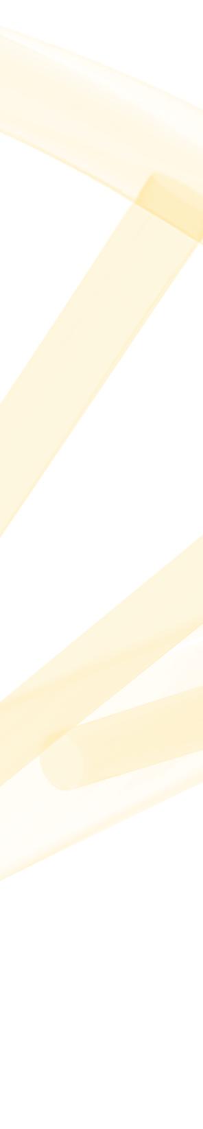 2. ιευρυµένος Έλεγχος Φορέων 552