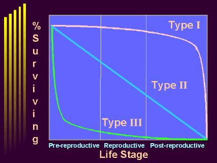 Tri tipa krivulja preživljavanja Na osi x je obično dob, ali