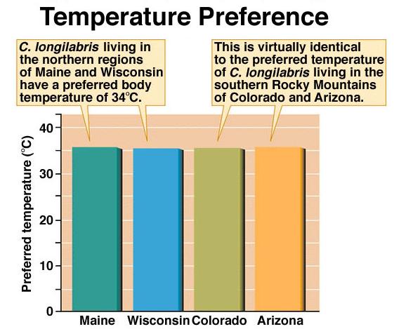 Preferentna temperatura tijela bila je identična kod različitih
