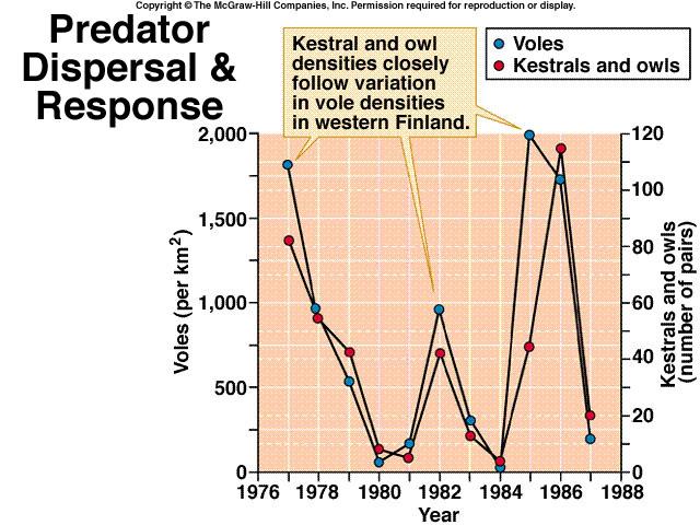 Rasprostranjenje predatora (vjetruše i sove) ovisilo je o brojnosti njihovog plijena (voluharice)