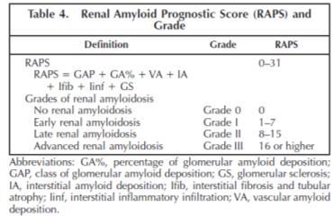 Classification, Scoring, and Grading System for Renal Amyloidosis: