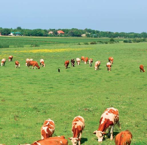 musia mať hospodárske budovy vysokú energetickú účinnosť.