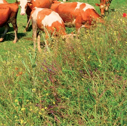 poskytuje merateľné úspory nákladov na vykurovanie a chladenie,