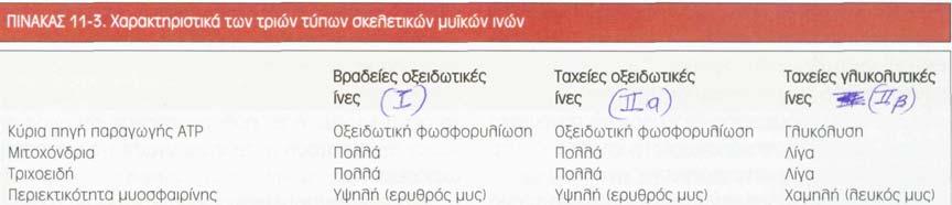 οξείδωση της λευκίνης. Γενικά, τα γλυκοκορτικοειδή έχουν καταβολική δράση στους μυς, η οποία εντείνεται απουσία ινσουλίνης.