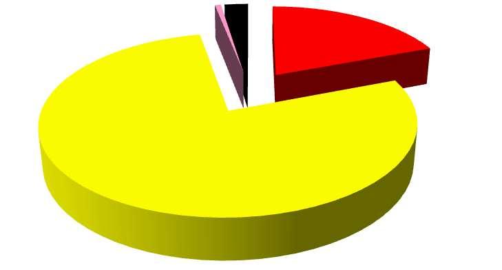 Graf 10: Percentuálny podiel nosičov energií na celkovej spotrebe [MWh] 1% 2% 19% 78% Elektrická energia Zemný plyn Benzín Nafta Z uvedených opisov objektu a energetických vstupov premietnutých do