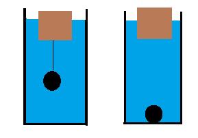 13. Kuriuo atveju vandens lygis inde pakils daugiau (1.5 pav.): kai į jį įleidžiami siūlu surišti medžio ir švino gabaliukai taip, kad jie plūduriuotų, ar kai jie nesurišti vienas su kitu.