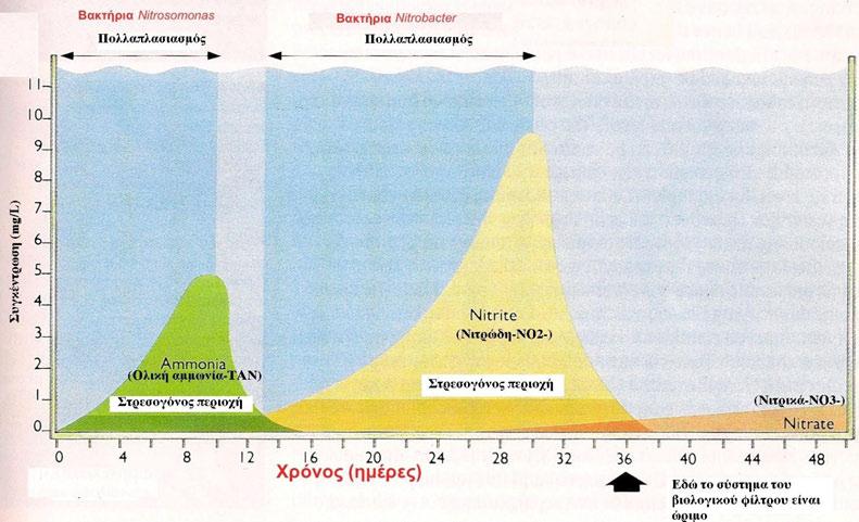 ΡΥΘΜΙΣΗ (CONDITIONING) ΕΝΟΣ ΝΕΟΛΕΙΤΟΥΡΓΟΥΝΤΟΣ ΒΙΟΛΟΓΙΚΟΥ