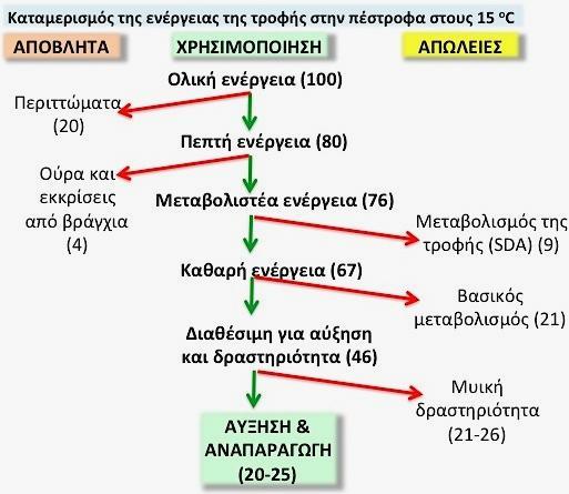 ΤΙ ΚΑΤΑΛΗΓΕΙ ΑΠΟ ΤΗΝ ΤΡΟΦΗ ΣΕ ΣΑΡΚΑ