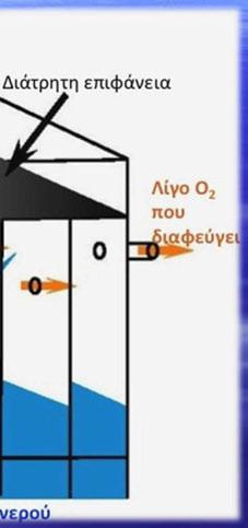 ΟΞΥΓΟΝΩΤΗΣ ΧΑΜΗΛΗΣ