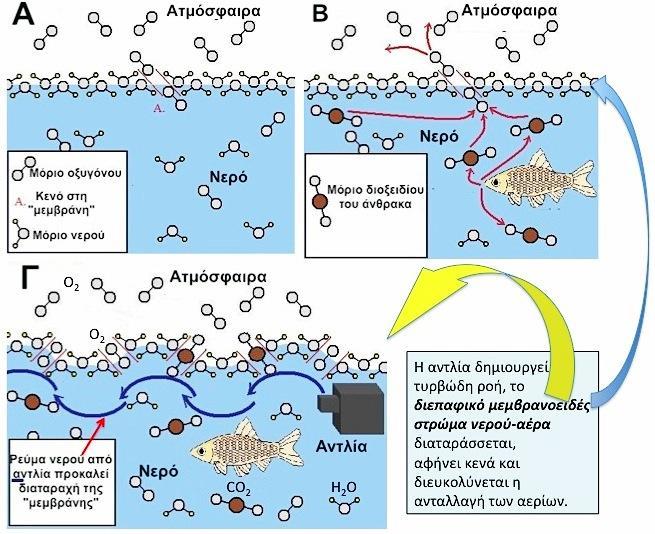 ΔΙΑΧΥΣΗ ΟΞΥΓΟΝΟΥ ΣΤΟ ΝΕΡΟ ΜΙΑ «ΕΠΙΠΟΝΗ»