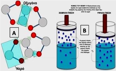 Η ΕΠΙΔΡΑΣΗ ΤΗΣ ΠΙΕΣΗΣ ΣΤΗ ΔΙΑΛΥΣΗ ΤΟΥ ΟΞΥΓΟΝΟΥ ΣΤΟ