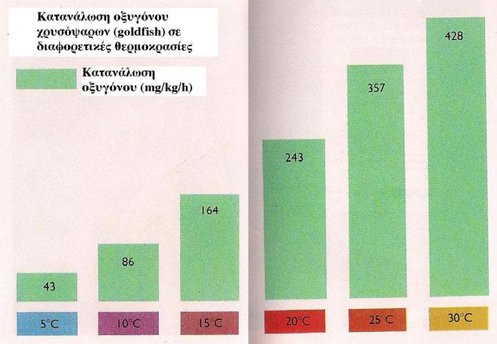 Κατανάλωση οξυγόνου στα ψάρια ανάλογα με τη