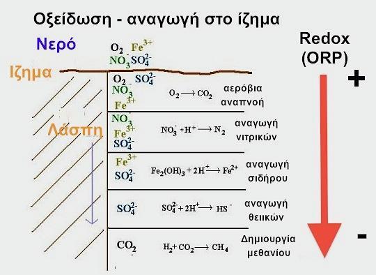 ΤΟ ΟΞΕΙΔΟ-ΑΝΑΓΩΓΙΚΟ ΔΥΝΑΜΙΚΟ (ORP)