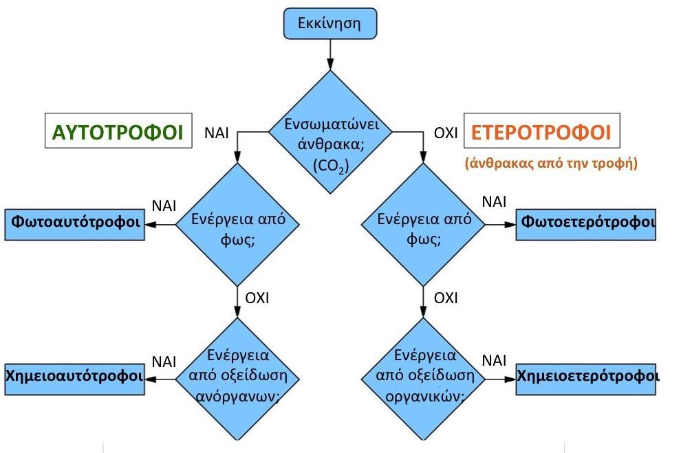 ΟΔΗΓΟΣ ΟΝΟΜΑΤΟΛΟΓΙΑΣ ΟΡΓΑΝΙΣΜΩΝ ΜΕ ΒΑΣΗ ΤΗΝ ΑΠΟΚΤΗΣΗ