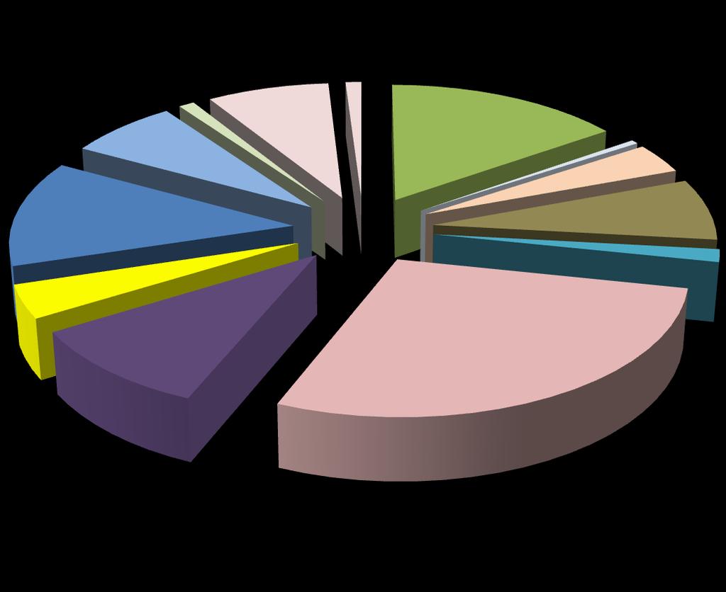 Sistemim urbane 7,88% 1,02% 15,26% Mbrojtjen civile 12,72% 7,12% 1,02% 0,48% 3,64% 7,36% Mjedisi natyror dhe kulturor Zhvillimi ekonomik Përmirësim i