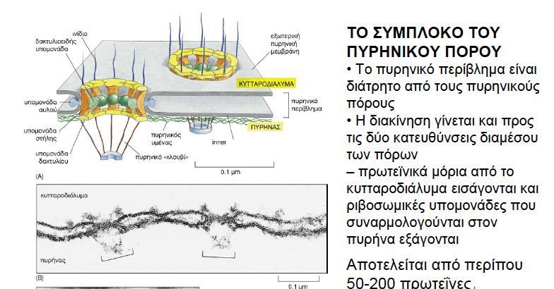 Πυρηνικός