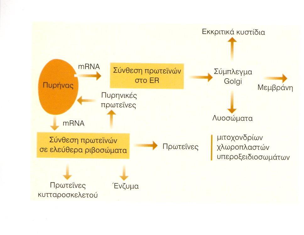 Διαλογή