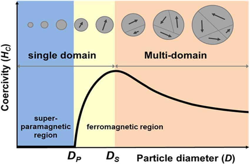 εξωτερικό περίβλημα σε σχέση με τον πυρήνα και κατά συνέπεια, τα μαγνητικά νανοσωματίδια τείνουν να γίνουν παραμαγνητικά (χαμηλής μαγνητικής ροπής).