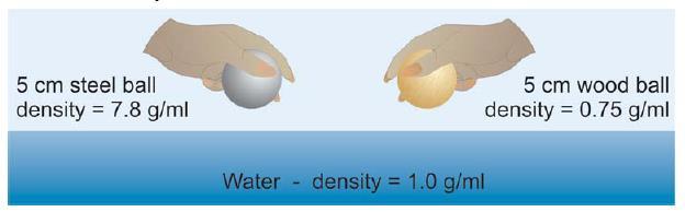 Πυκνότητα και άνωση Αν γνωρίζουμε την πυκνότητα ενός αντικειμένου μπορούμε να προβλέψουμε αν θα