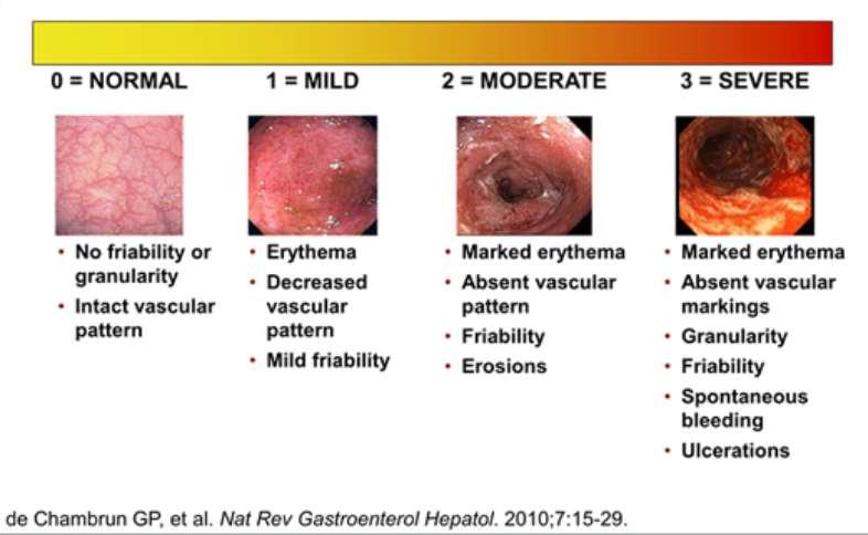 Endoscopic